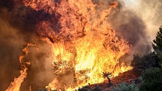 Völlig außer Kontrolle: Feuer in Griechenland