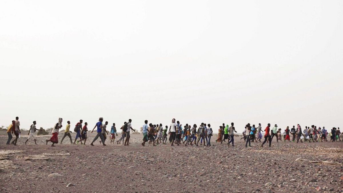 Kaçakçılar Etiyopyalı göçmenleri Cibuti'nin Obock kentinde yönlendiriyor. 14 Temmuz 2019