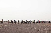 Kaçakçılar Etiyopyalı göçmenleri Cibuti'nin Obock kentinde yönlendiriyor. 14 Temmuz 2019