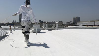 Un tejado de París se pinta de blanco