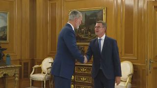 El rey Felipe VI recibe al líder del PP, Núñez Feijóo