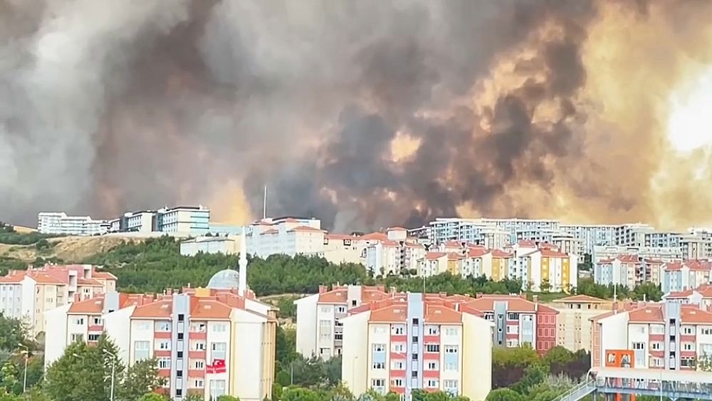 VIDEO : Ankara evacuates more than 1,200 people as Greece’s wildfires spread to Turkey