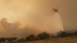Ελικόπτερο επιχειρεί στην φωτιά του Έβρου