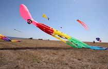 Bulgarian kite festival