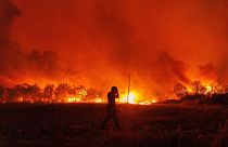 Flames burn a forest during a wildfire in Avantas, near Alexandroupolis, Greece, 21 August 2023.