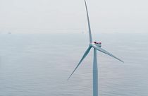 Норвежская энергетическая компания Equinor и ее партнеры торжественно открыли крупнейшую в мире плавучую морскую ветроэлектростанцию