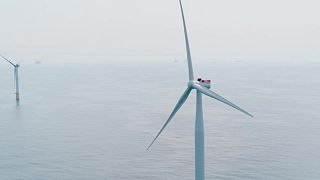 Norwegian energy firm Equinor and its partners will inaugurate the world's largest floating offshore wind power farm on Wednesday.