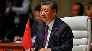 رهبر چین در اجلاس بریکس در ژوهانسبورگ