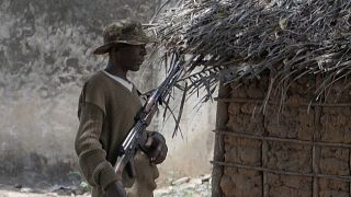 Mozambique: Army kills two senior rebel leaders in Cabo Delgado