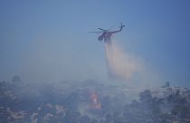 Un Canadair lutte contre un feu de forêt, en Grèce, le 24 août 2023.