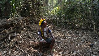  زعيم السكان الأصليين في قرية كريميج، كادجير كايابو، على الطريق الذي فتحه قاطعو الأشجار غير القانونيين بين أراضي مينكراجنوتاير الأصلية والمحمية  سيرا دو كاتشيمبو، 2019