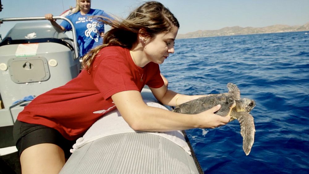 Záchrana stredomorských korytnačiek a delfínov, jeden život za druhým