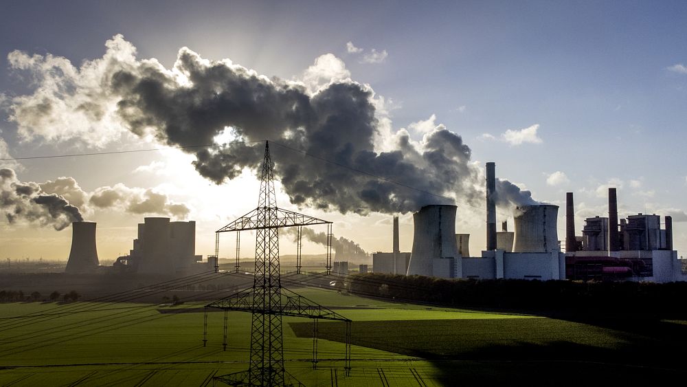 NGOs demand review of EU emission reduction targets