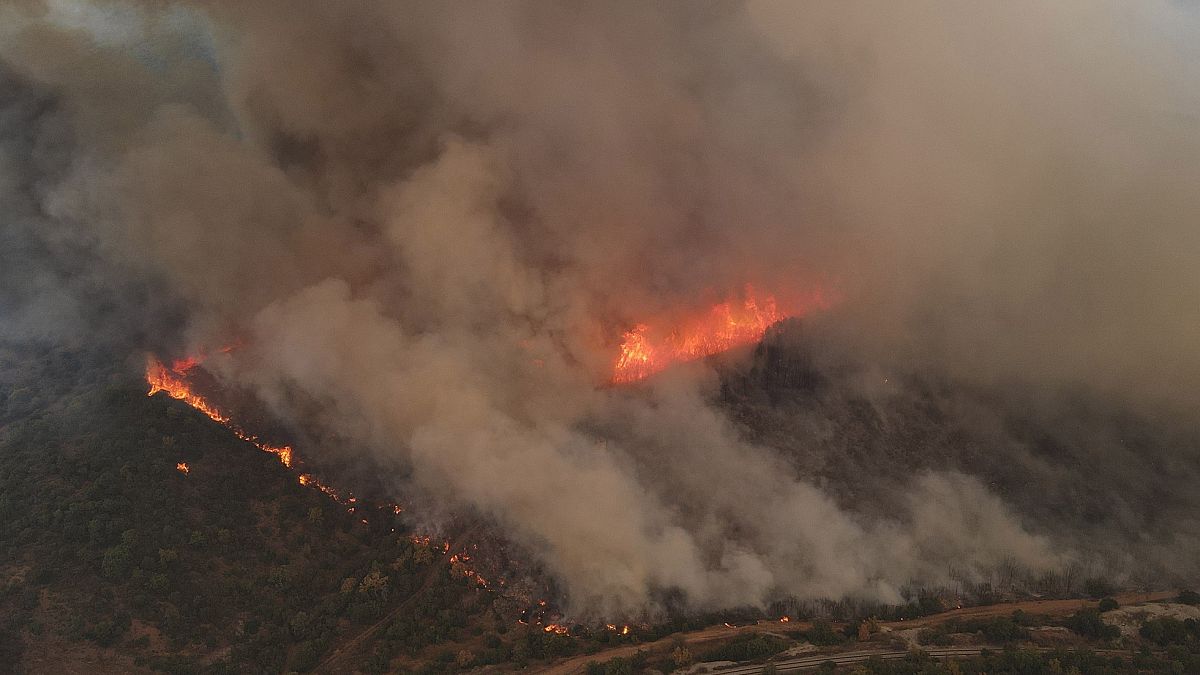 Erdőtűz az északkelet-görögországi Évrosz tartománybeli Alekszandrúpolisz közelében fekvő Szikorrahi környékén 2023. augusztus 23-án. 