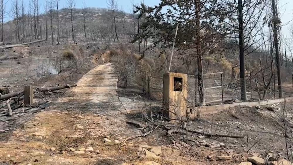 ‘My house was totally burnt’: Greek villagers return home to see damage caused by wildfires thumbnail