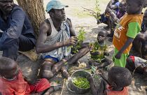 نازحون جنوب السودان يقتاتون على أوراق الشجر