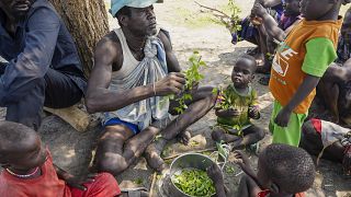 نازحون جنوب السودان يقتاتون على أوراق الشجر