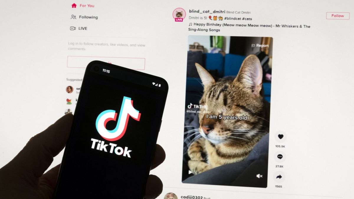 The more Instagram copies TikTok, the more I hate it