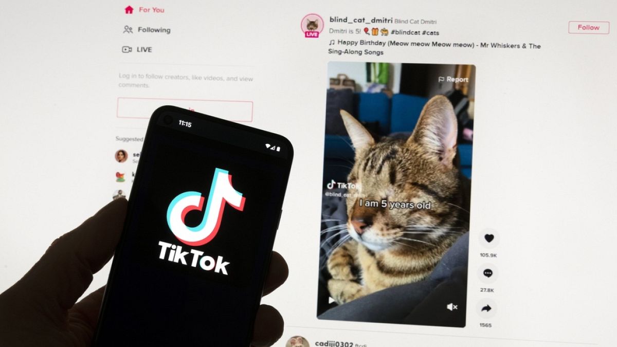 TikTok fait partie des 19 entreprises concernées par l'entrée en vigueur le 25 août du DSA