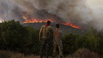Son bir haftada Yunanistan genelinde yüksek sıcaklıkların ve şiddetli rüzgarların tetiklediği 517 orman yangını çıktı