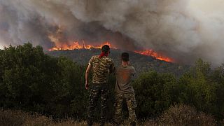 Son bir haftada Yunanistan genelinde yüksek sıcaklıkların ve şiddetli rüzgarların tetiklediği 517 orman yangını çıktı