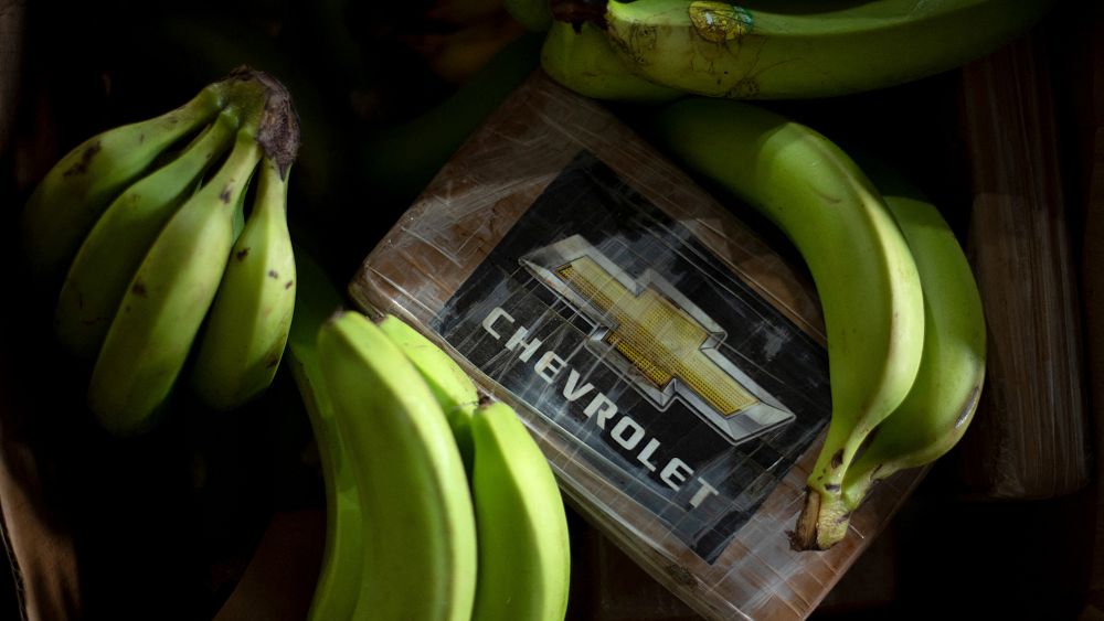 Record cocaine haul hidden in banana shipment intercepted in Spain