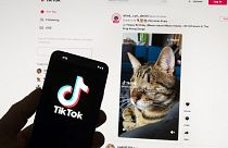Google, Facebook, TikTok and other Big Tech companies operating in Europe are facing one of the most far-reaching efforts to clean up what people encounter online.