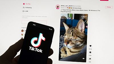 Google, Facebook, TikTok and other Big Tech companies operating in Europe are facing one of the most far-reaching efforts to clean up what people encounter online.