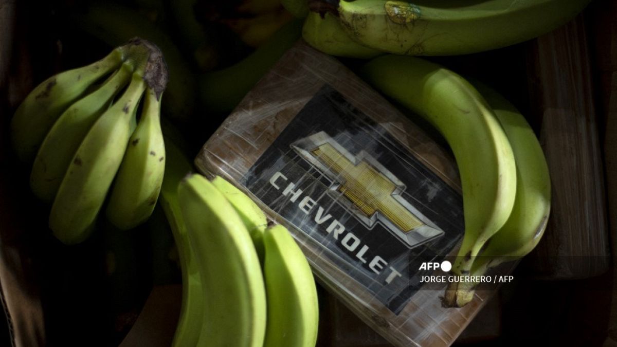 Banán közé rejtett rekordnagyságú kokainszállítmány 