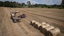 Collecte de paille après les moissons dans une ferme près de Kyiv.