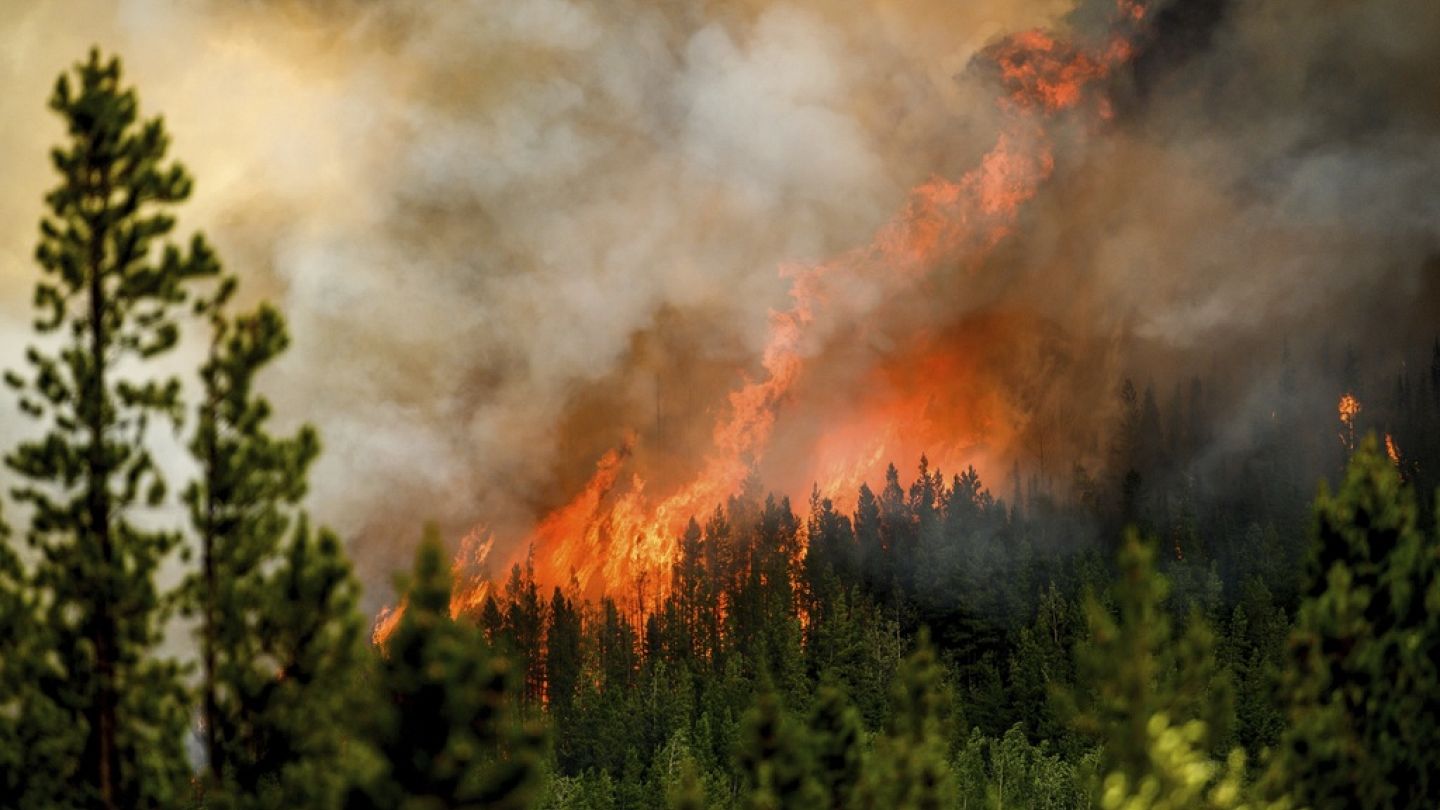 Incendios Forestales
