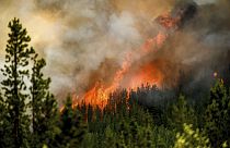 Imagen del incendio forestal de Donnie Creek, al norte de Fort St. John, Columbia Británica, el domingo 2 de julio de 2023.