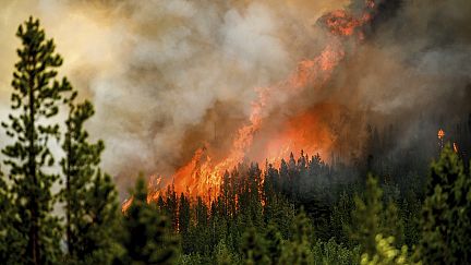Incendios Forestales