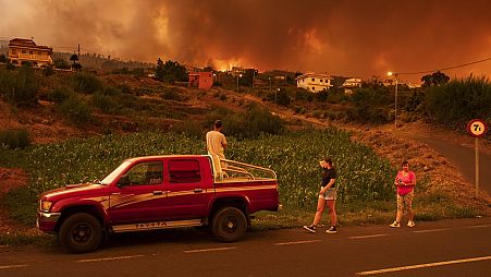 Des habitants tentent de rejoindre leurs maisons dans le village de Benijos alors qu'un incendie de forêt progresse à La Orotava à Tenerife, dans les îles Canaries, en Espagne, en août 2023.