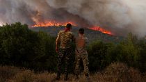 Flames burn a forest during wildfires near the village of Sykorrahi, near Alexandroupolis town, in the northeastern Evros region, Greece,