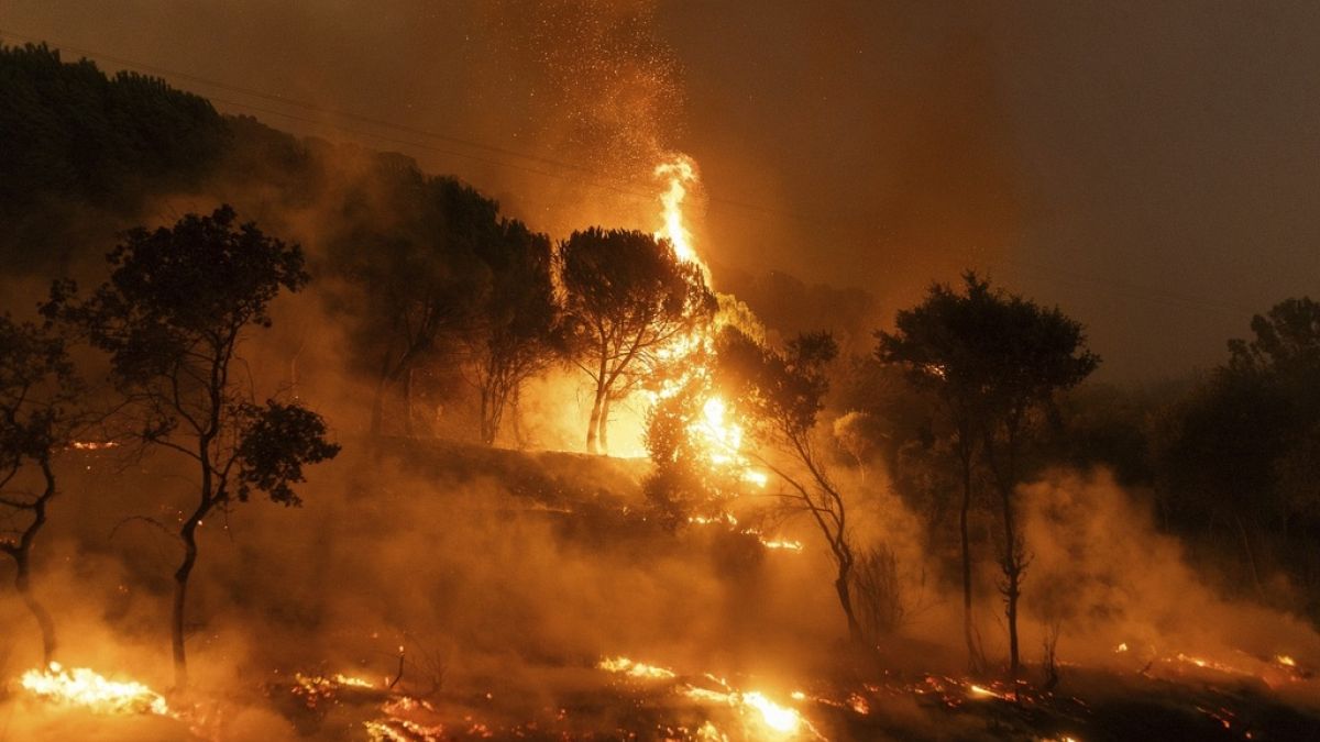 غابة مشتعلة في قرية ديكيلا، بالقرب من بلدة ألكسندروبوليس، في منطقة إيفروس الشمالية الشرقية، اليونان، 22 أغسطس 2023.