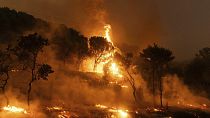 غابة تشتعل فيها النيران في قرية ديكيلا، بالقرب من بلدة ألكسندروبوليس، في إيفروس شمال شرق اليونان، 22 آب 2023