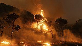 غابة مشتعلة في قرية ديكيلا، بالقرب من بلدة ألكسندروبوليس، في منطقة إيفروس الشمالية الشرقية، اليونان، 22 أغسطس 2023.