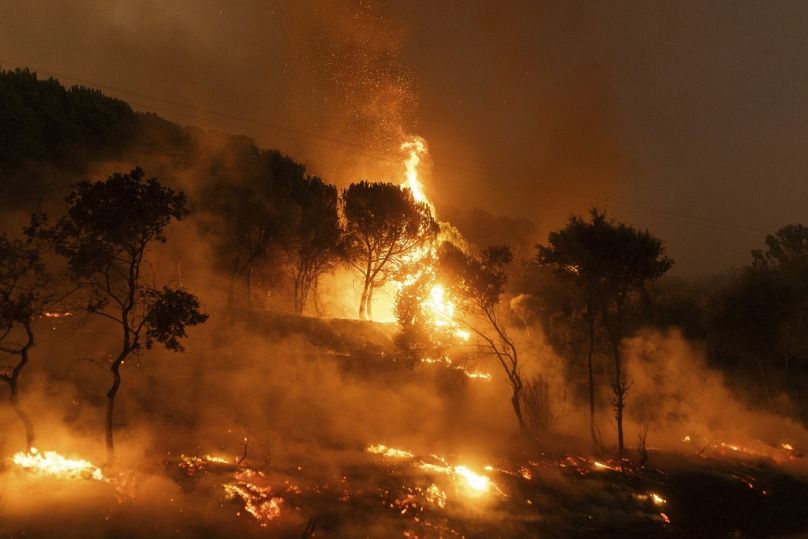 ARCHIVO - Un bosque en llamas en el pueblo de Dikela, cerca de la ciudad de Alexandroupolis, en la región nororiental de Evros, Grecia, martes 22 de agosto de 2023.