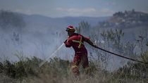 رجل إطفاء يعمل على إخماد النيران في حرائق الغابات