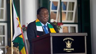 Zimbabwe's president-elect Mnangagwa criticises role of election observers