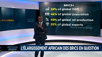 L'Afrique peut-elle miser sur l'élargissement des BRICS ? [Business Africa]