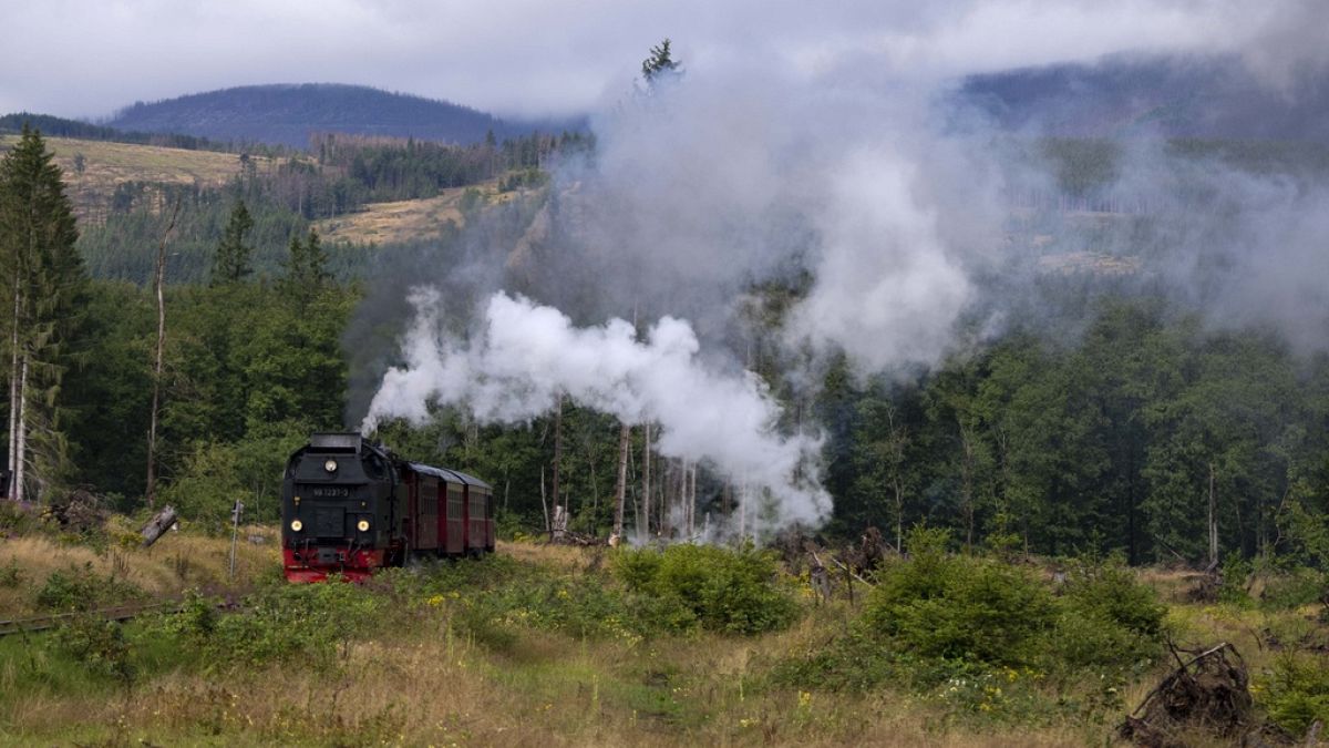 Un tren de vapor atraviesa el bosque del Harz en la montaña Brocken, de 1.142 metros de altura, cerca de Elend, Alemania, el lunes 7 de agosto de 2023.