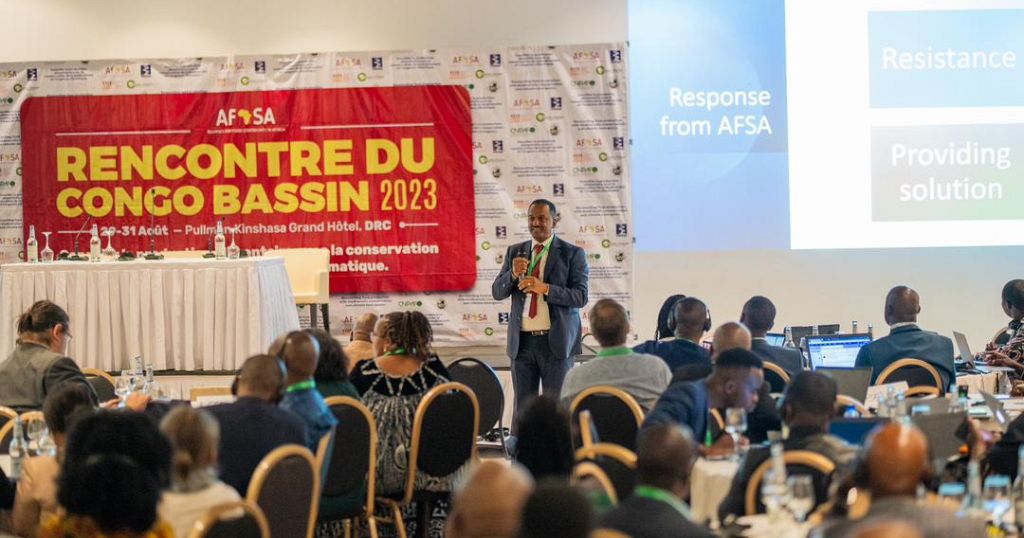 Calls to boost food security to protect Congo Basin as summit kicks off in Kinshasa