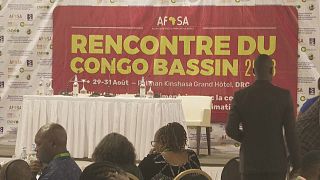 Bassin du Congo : réconcilier la production alimentaire et la conservation de forêt