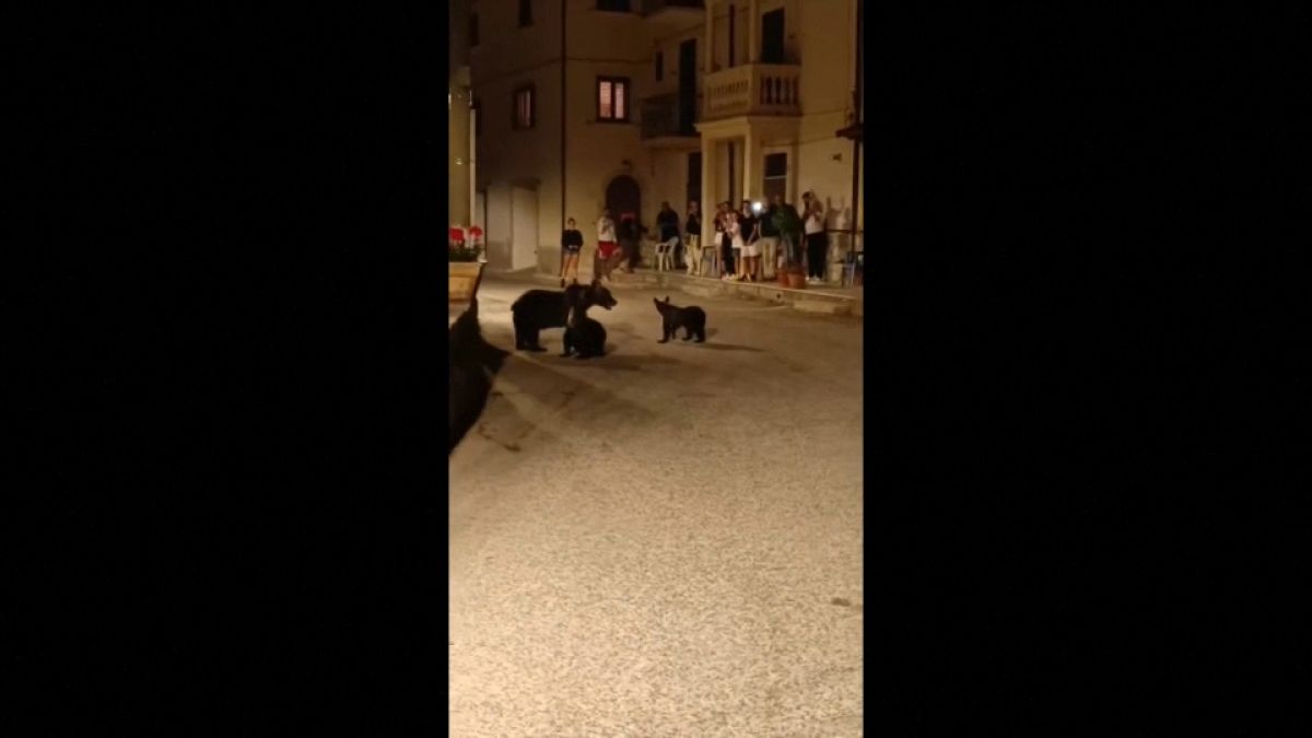 Uma ursa e duas crias na aldeia de San Sebastiano Dei Marsi