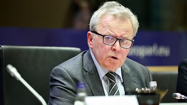 Janusz Wojciechowski, European Commissioner for agriculture, told MEPs that he supported the extension of the temporary bans on Ukrainian grain.