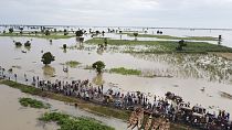 People walk through floodwaters near flooded farmlands after heavy rainfall in Hadeja, Nigeria, Sept 19, 2022