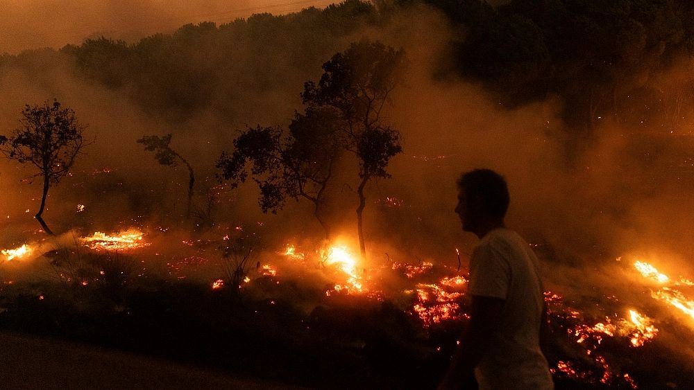 Η Ελλάδα θα προσπαθήσει να αμυνθεί από τις δασικές πυρκαγιές με drones, αισθητήρες και κάμερες