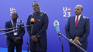 Niger : la CEDEAO attend le soutien de l'Union Européenne